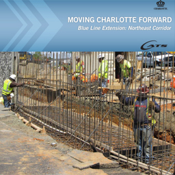 Graphic for Blue Line Extension
