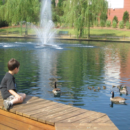 University Place lake