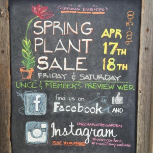 Get your Green on with 2 weekend plant sales and new farmers market!