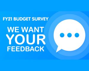 County budget survey