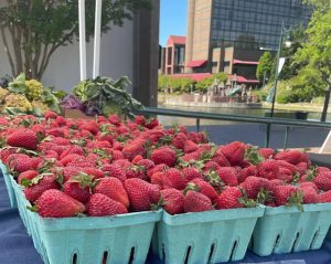 Start your Saturdays at University City Farmers Market