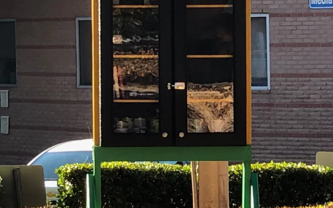 Little Libraries Added to Increase Literacy Rate